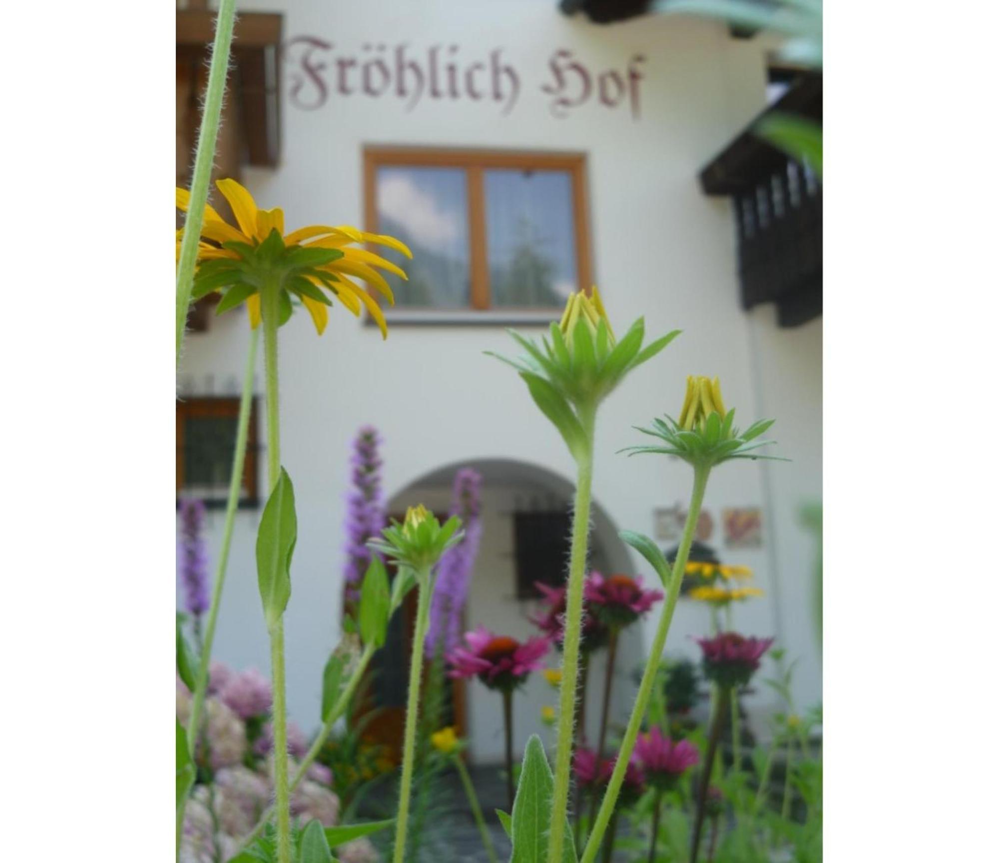 Froehlichhof Wohnung Apfelbluete Algund Buitenkant foto