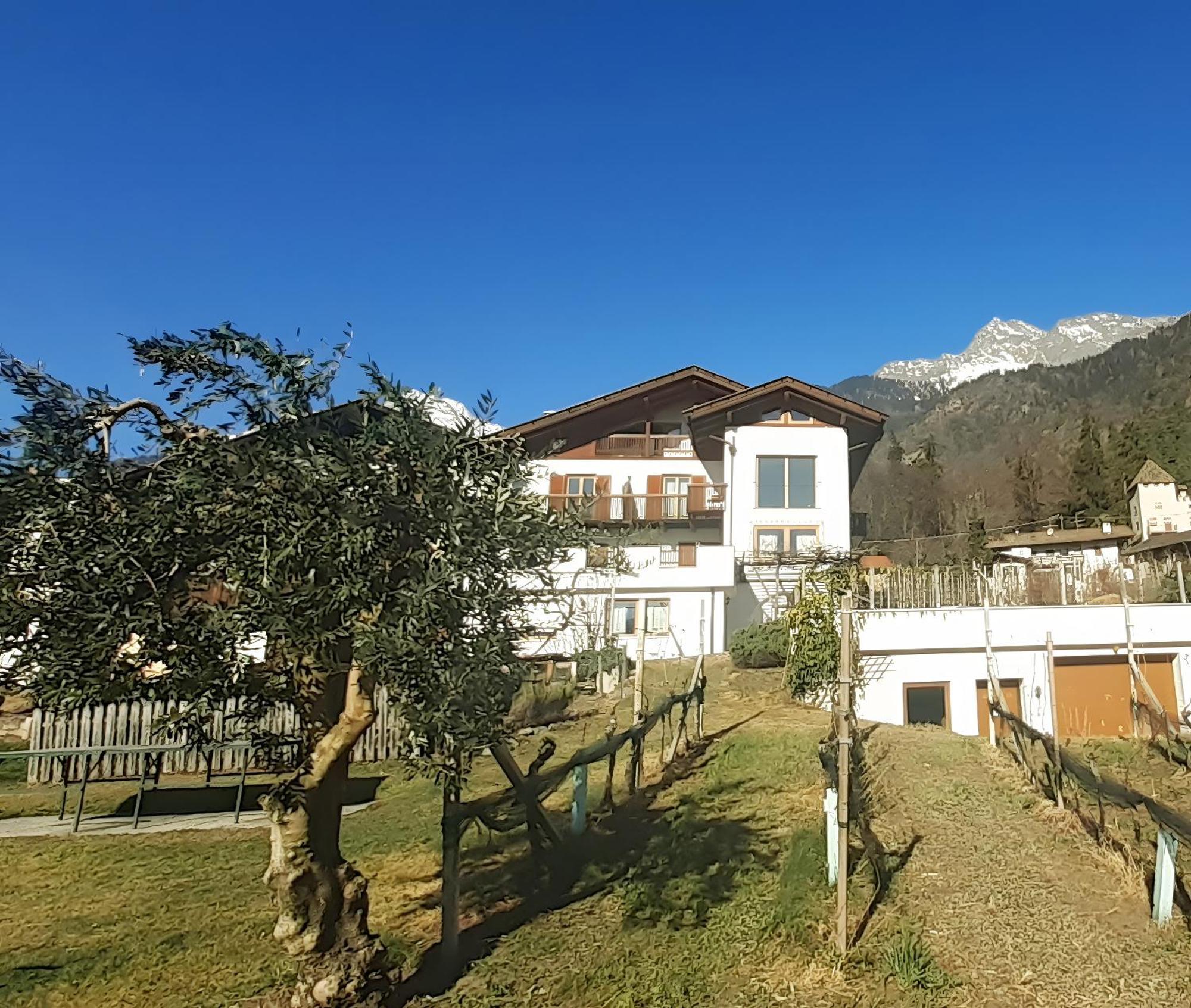 Froehlichhof Wohnung Apfelbluete Algund Buitenkant foto